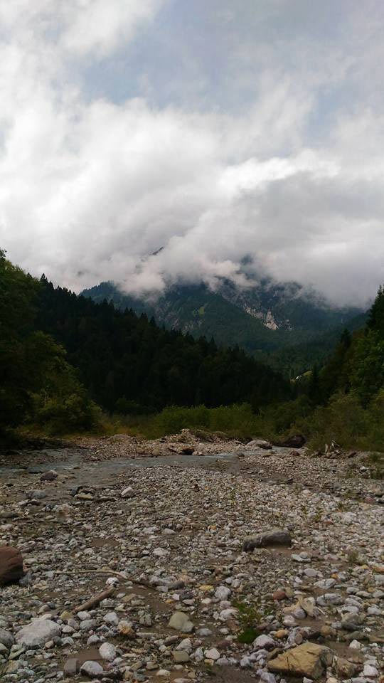 fiume-pesarina